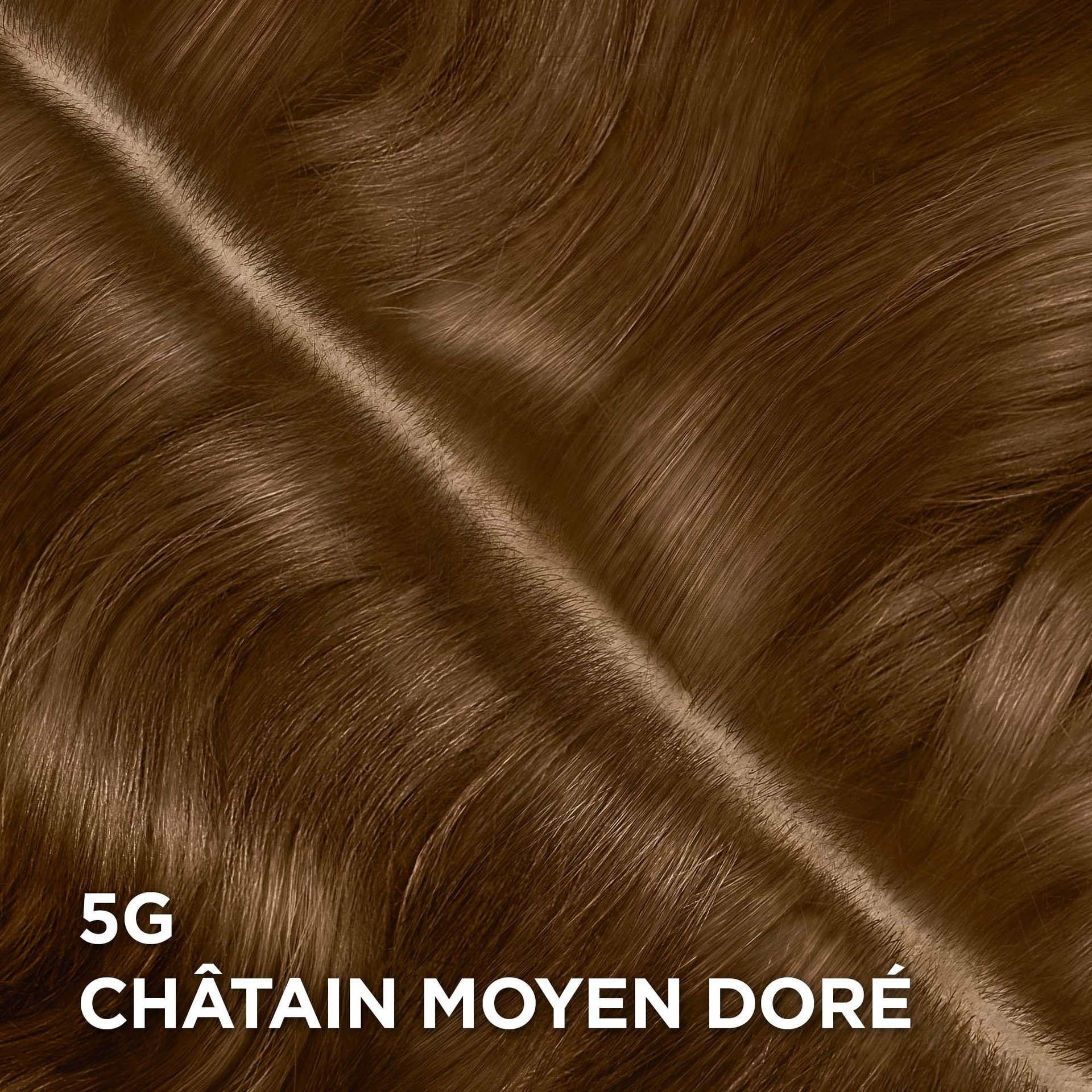 Rendu sur cheveux de la coloration Magic Root Permanent 5G Châtain Moyen Doré